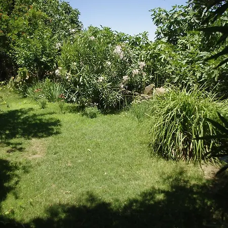 Bed & Breakfast Terrace Sirince