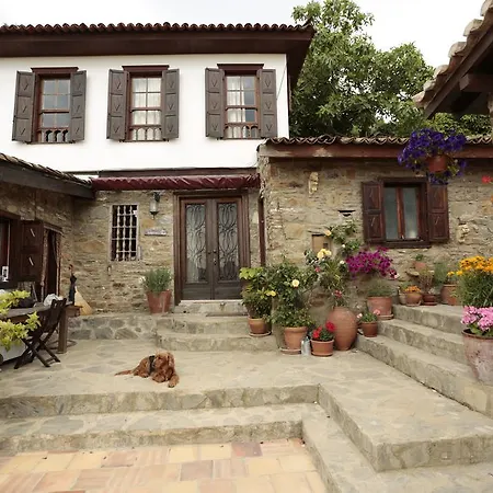 Bed & Breakfast Terrace Sirince *