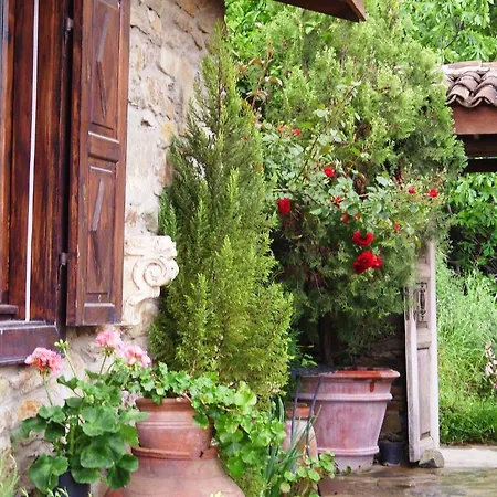 Bed and Breakfast Terrace Sirince *