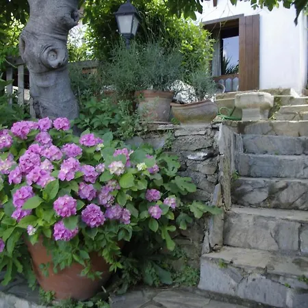 Terrace Sirince Bed & Breakfast