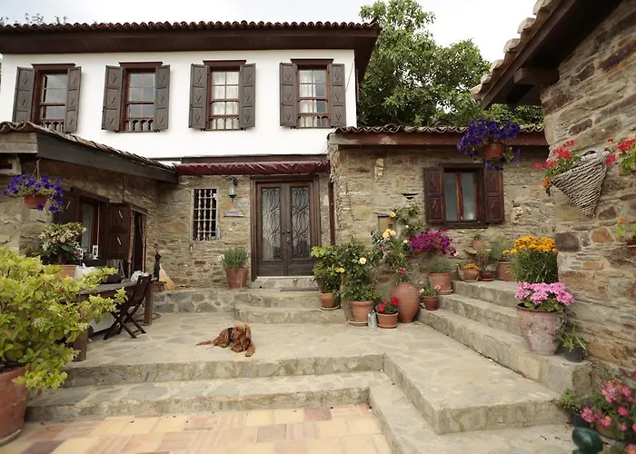 فندق مبيت وإفطار Terrace Sirince *