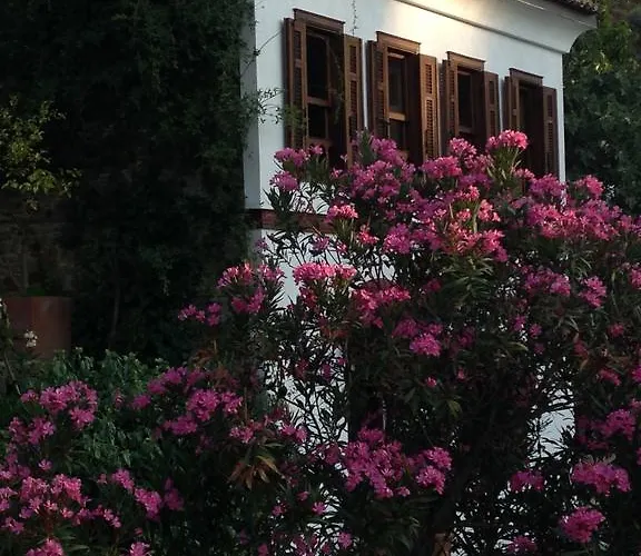 Terrace Sirince