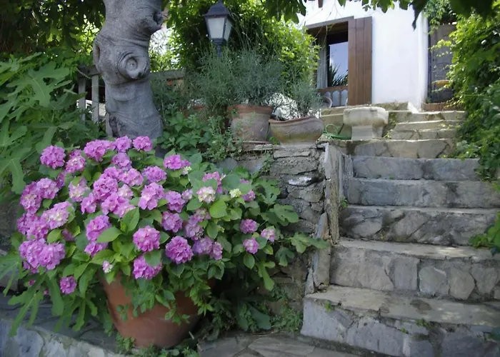 Terrace Sirince فندق مبيت وإفطار