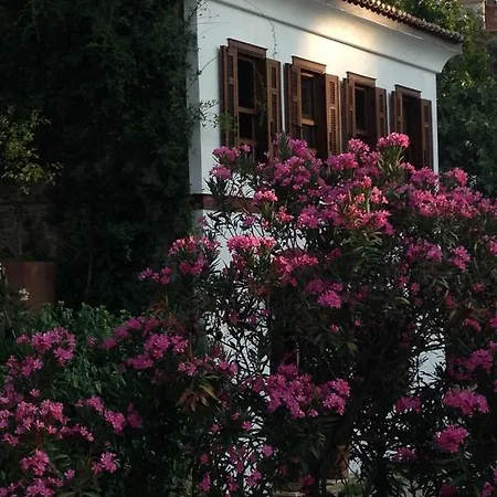 Terrace Sirince