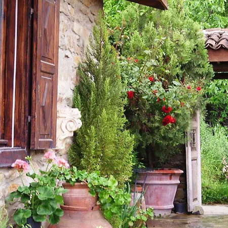 Bed & Breakfast Terrace Sirince *