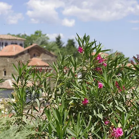 Terrace Sirince Oda ve Kahvaltı *