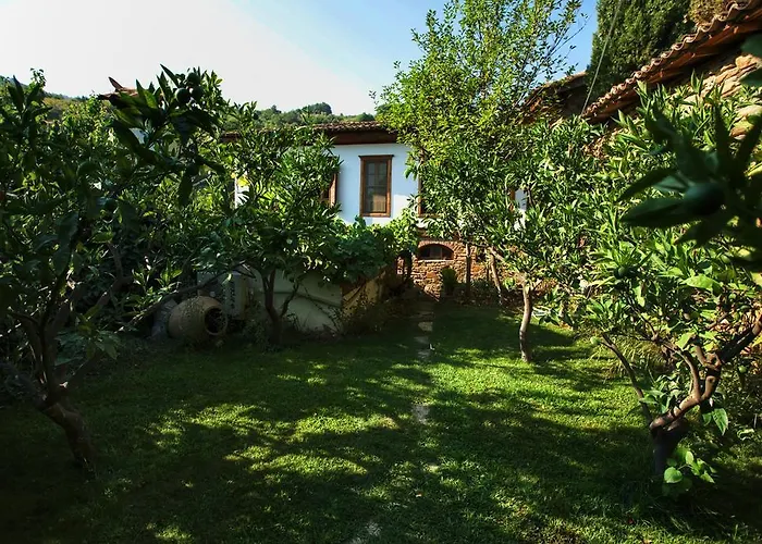 Alojamento de Acomodação e Pequeno-almoço Terrace Sirince