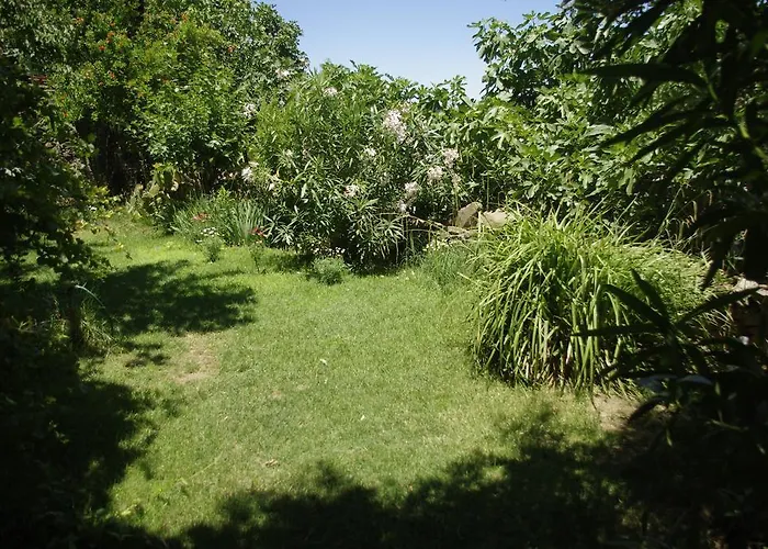 Panzió Terrace Sirince