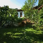 B&B Terrace Sirince