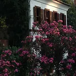 Terrace Sirince