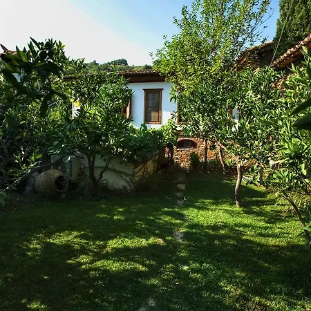 Nocleg ze śniadaniem Terrace Sirince